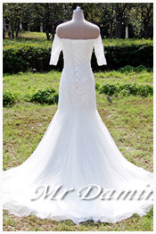 elegent wedding dress