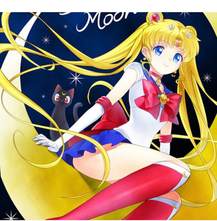 Sailor Moon costume