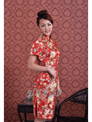 Synthetic Fiber Cheongsam SOF56