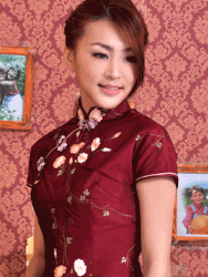 Wine red doupion silk with embroidery cheongsam dress scs82