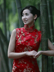 Red dragon with phoenix dress SCT38